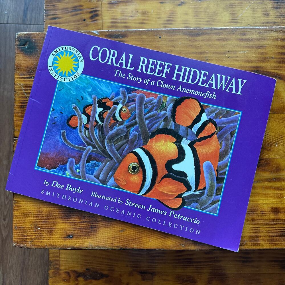 Vintage 2005 Coral Reef Hideaway A Story Of A Clown Anemonefish Paperback Book